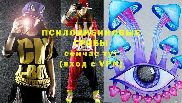амф Павловск
