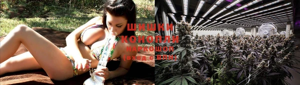винт Семилуки