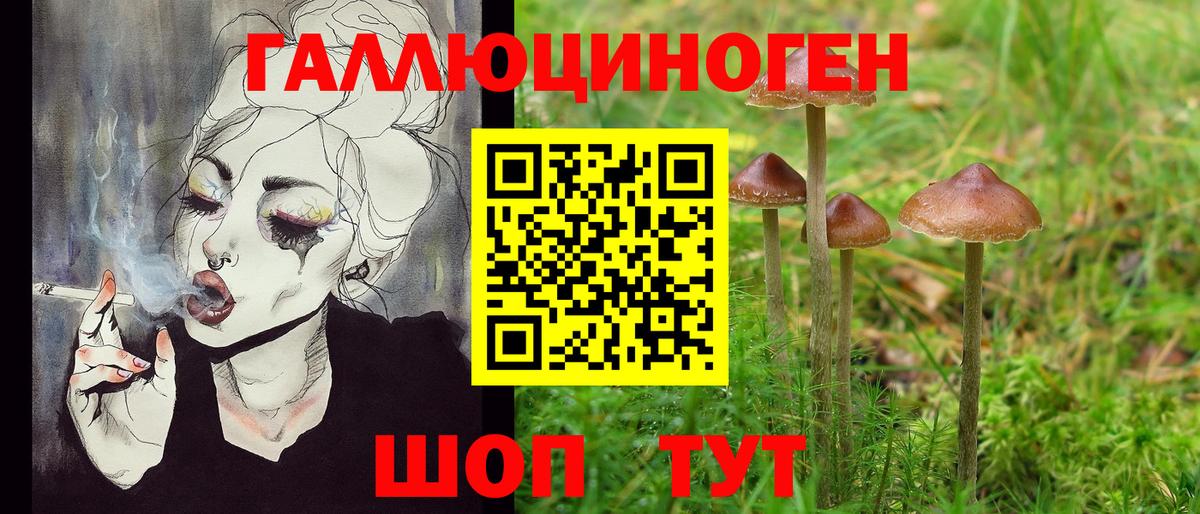 Галлюциногенные грибы Psilocybine cubensis Советск